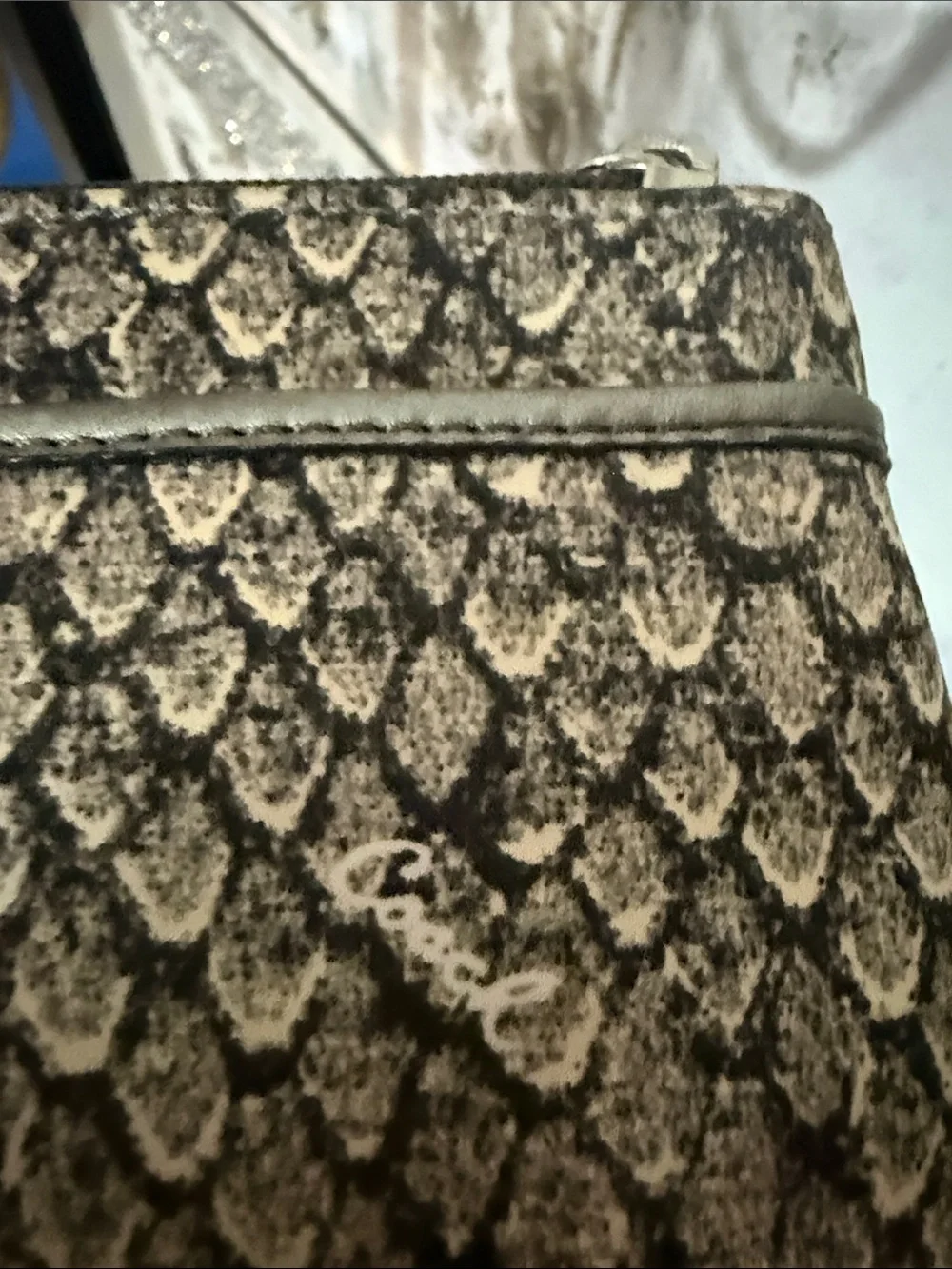 Coach crossbody metallic